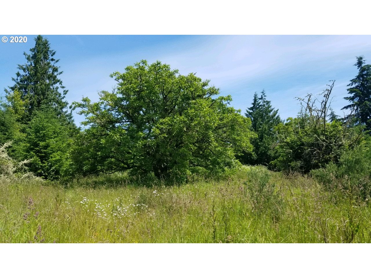 Wonderly Road Rainier, OR 97048 - Photo 10 of 12