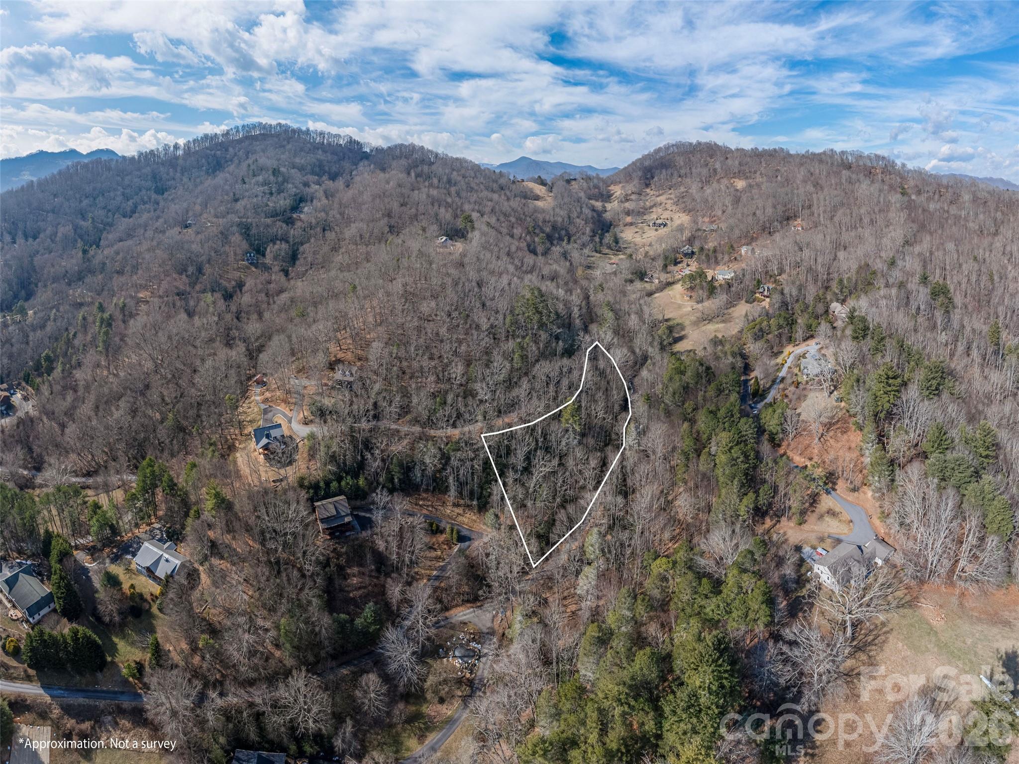 0 Coyote Hollow Road Waynesville, NC 28785 - Photo 9 of 12