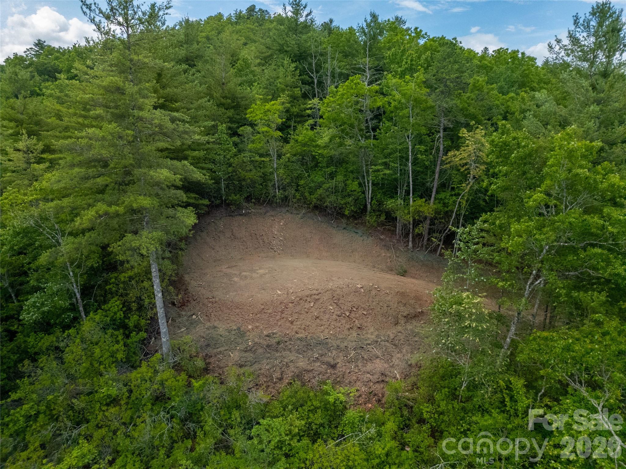 Tbd Cherryfield Loop Brevard, NC 28712 - Photo 3 of 15