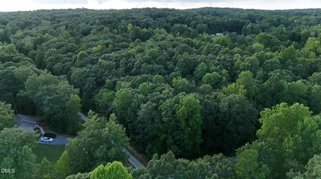 an aerial view of a forest with houses
