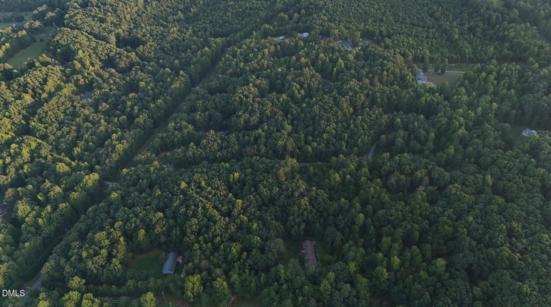 0 Bass Mountain Road Snow Camp, NC 27349 - Photo 8 of 11 a view of a lush green forest