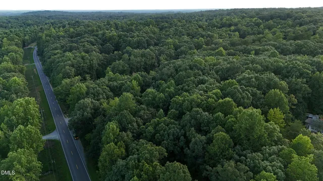 an aerial view of a forest with houses