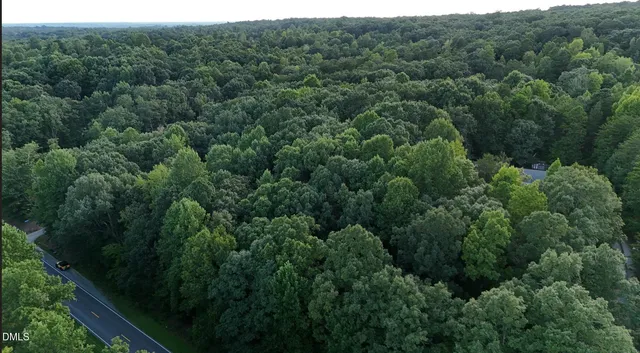 $330,000 | 0 Bass Mountain Road, Snow Camp, NC 27349