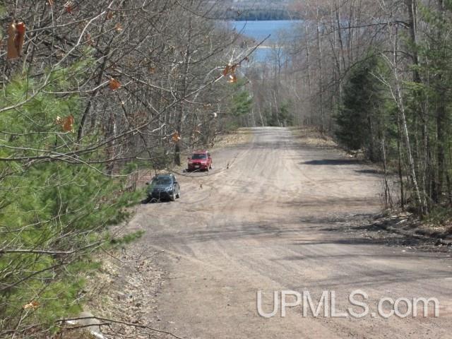 Tbd Golf Course Road Calumet, MI 49913 - Photo 1 of 21