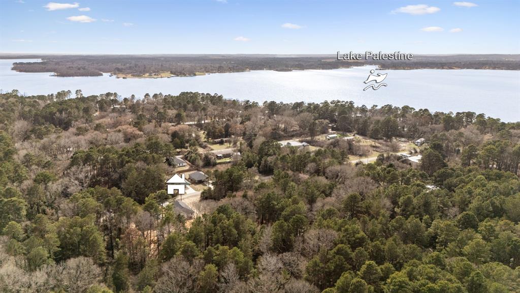 335 Perdanales Bullard, TX 75757 - Photo 35 of 37 a view of city and ocean
