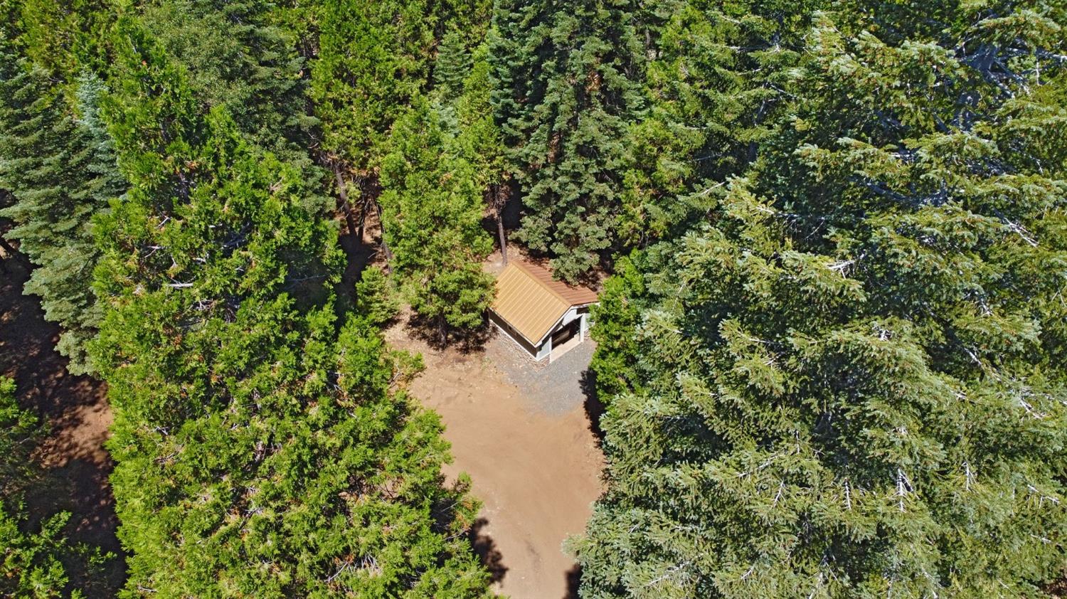 740 Hideaway Loop Alta, CA 95701 - Photo 70 of 74 a view of a lake with a yard and large trees