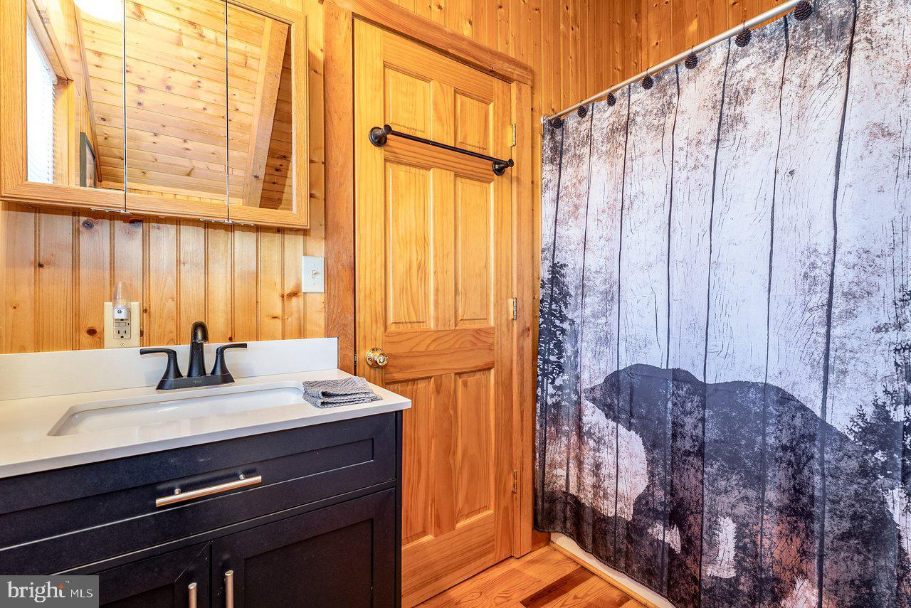 147 Bear Rdg Lane Milam, WV 26838 - Photo 39 of 72 a bathroom with a sink a mirror and a shower