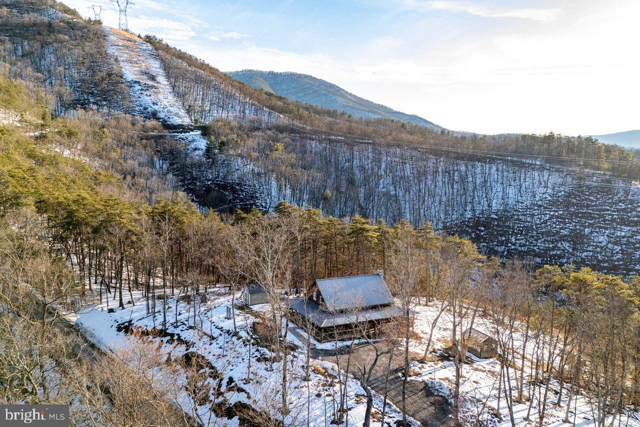 147 Bear Rdg Lane Milam, WV 26838 - Photo 48 of 72 a backyard of a house with lots of green space