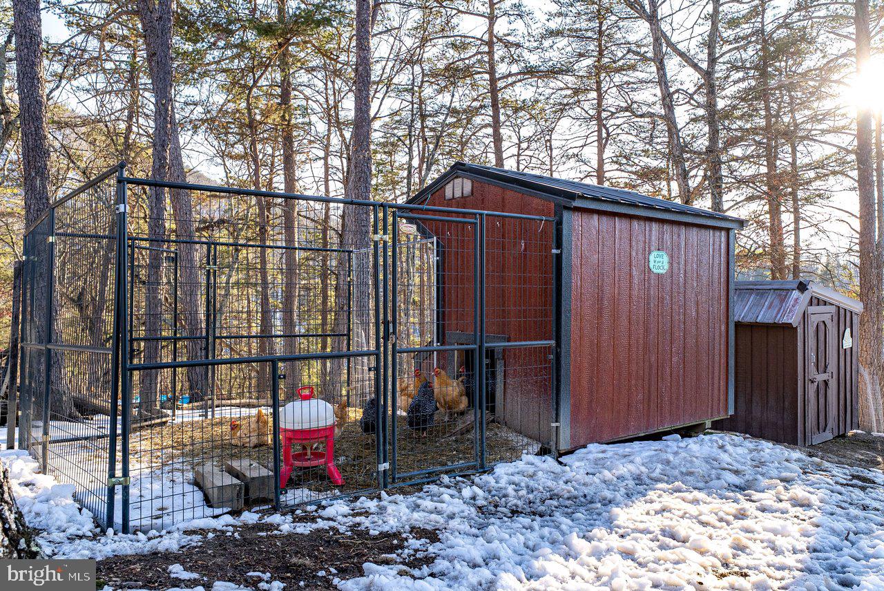 147 Bear Rdg Lane Milam, WV 26838 - Photo 67 of 72 a backyard of a house with barbeque oven