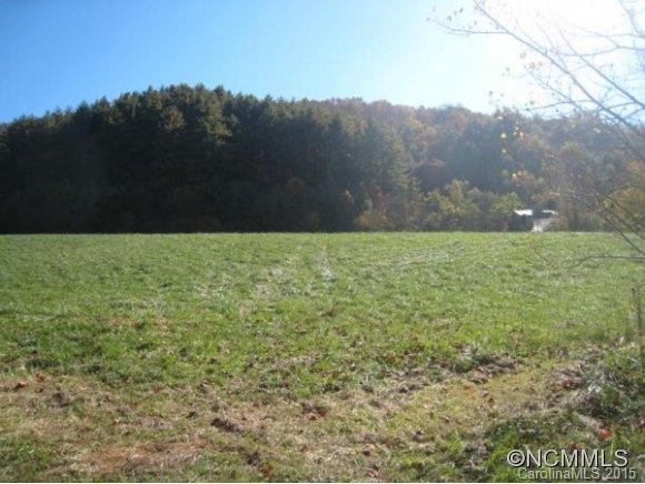 Lot 4 Rice Branch Road, Unit 4 Asheville, NC 28804 - Photo 3 of 15 Gallery Image 3