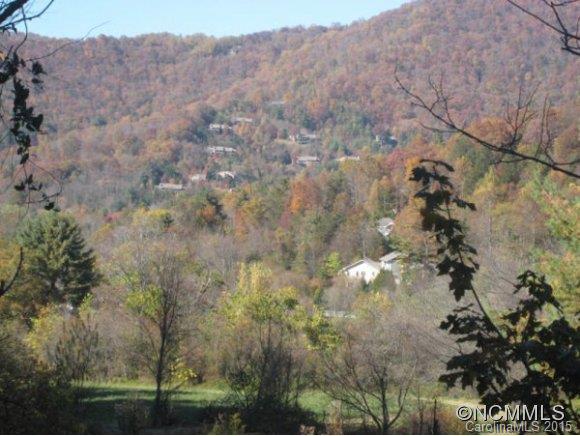 Lot 4 Rice Branch Road, Unit 4 Asheville, NC 28804 - Photo 8 of 15 Gallery Image 8