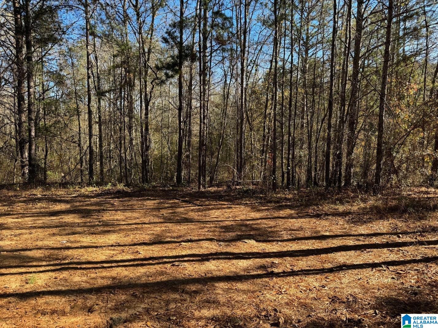 7 County Road Wedowee, AL 36278 - Photo 4 of 9