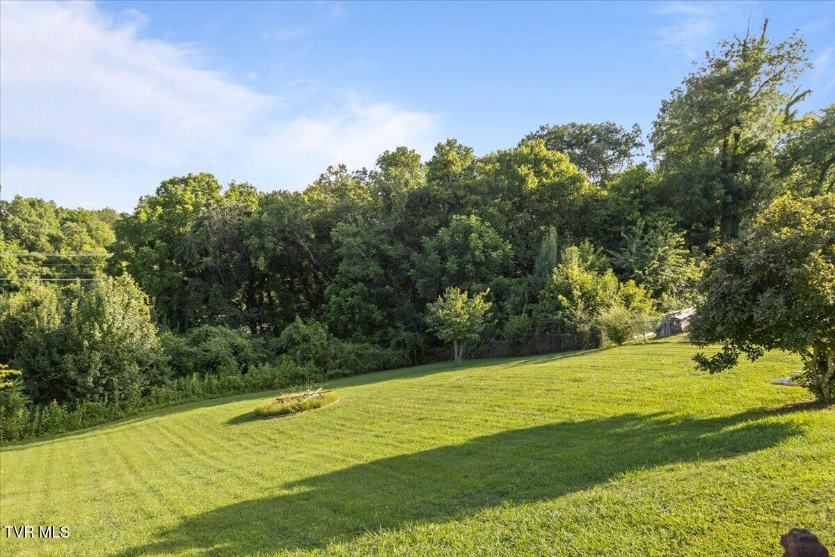 103 Sunflower Loop Seymour, TN 37865 - Photo 45 of 60 45-IMG_1333