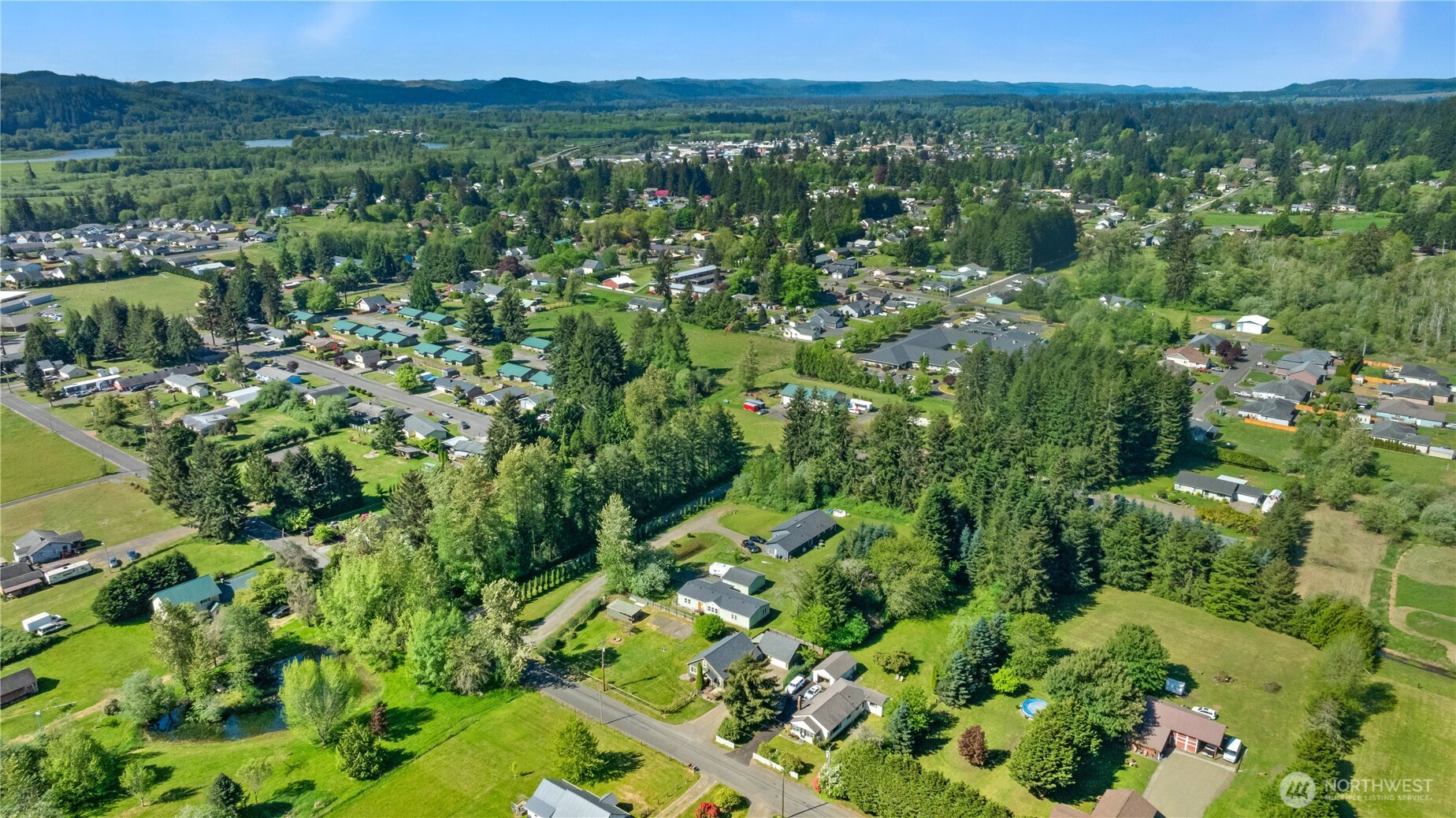 43 Camp Creek Road Montesano, WA 98563 - Photo 28 of 32 a view of a lush green field with lots of plants