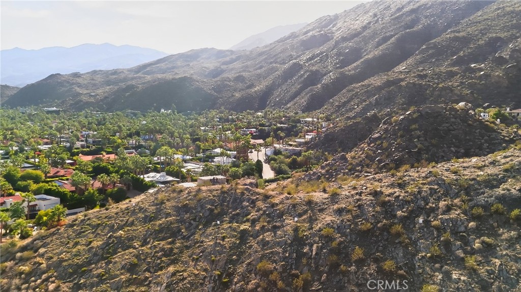 1 Ridge Road Palm Springs, CA 92264 - Photo 31 of 60 a view of a forest with mountains in the background