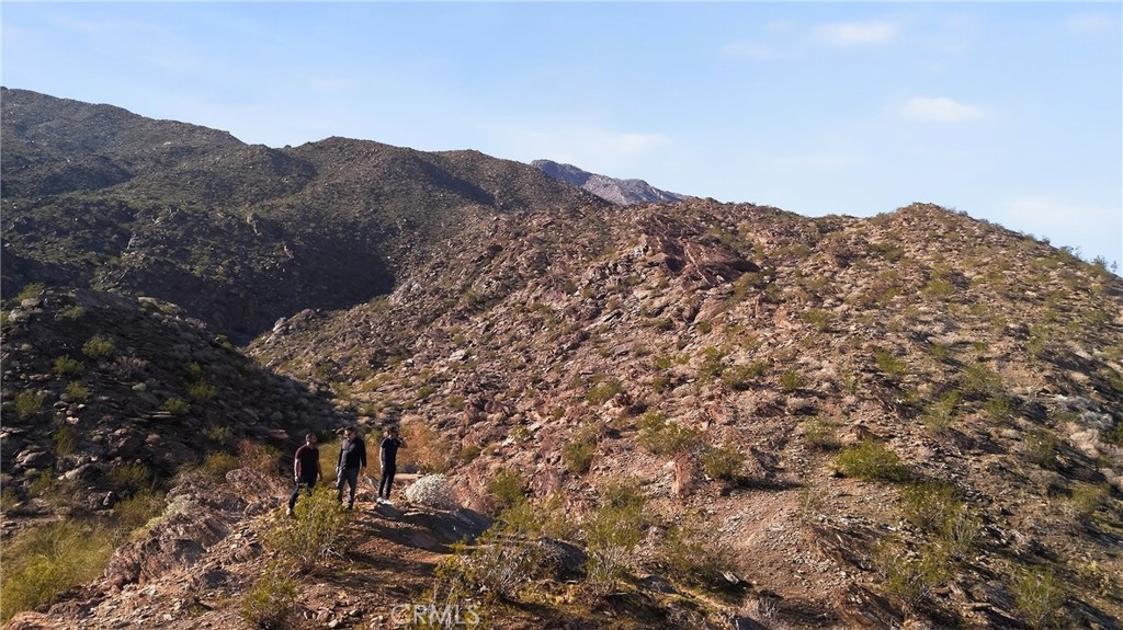 1 Ridge Road Palm Springs, CA 92264 - Photo 33 of 60 a view of a tree in a field with a mountain in the background