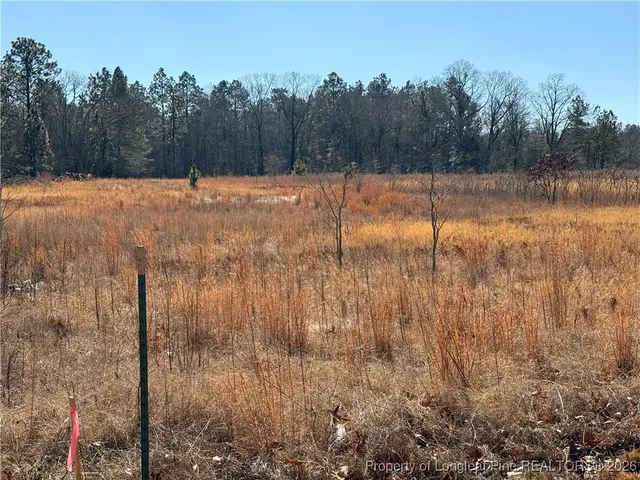 a view of yard with trees