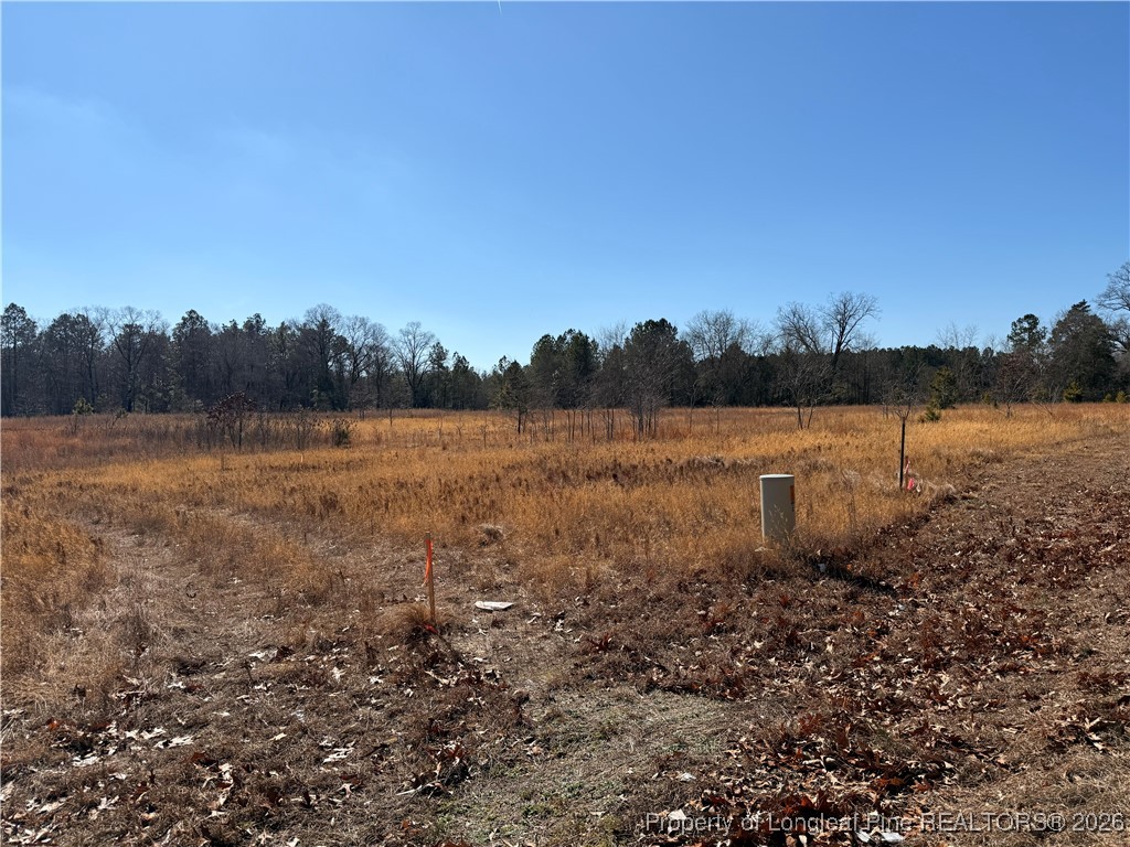 5745 Turnpike Road Raeford, NC 28376 - Photo 4 of 5