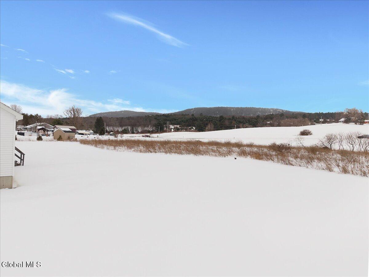 69 Log Woods Road Pittstown, NY 12180 - Photo 37 of 40 31-DJI_20260212111456_0651_D