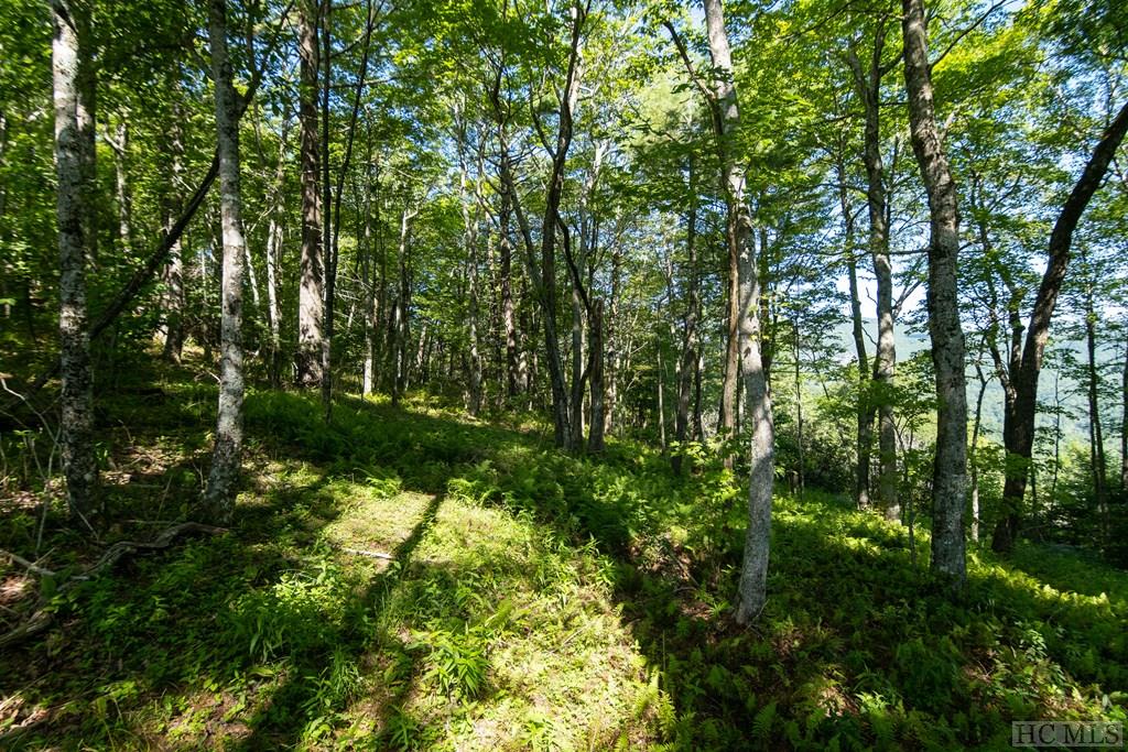 Lot 8 East Ridge Road Cashiers, NC 28717 - Photo 5 of 21 Gallery Image 5