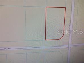 0 Southwest 114th Place Dunnellon, FL 34432 - Photo 3 of 3