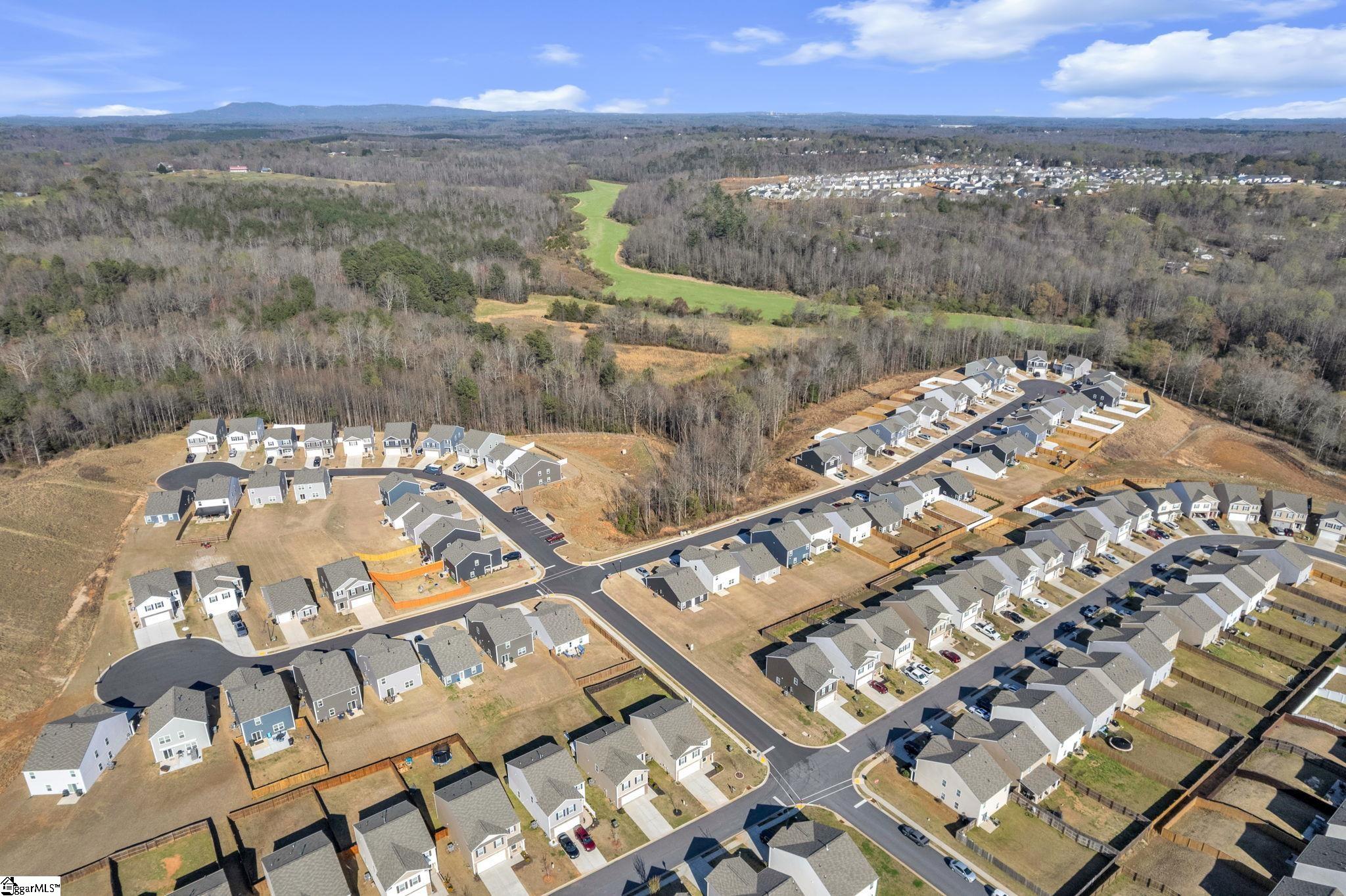 802 Ashwood Way Easley, SC 29640 - Photo 28 of 32
