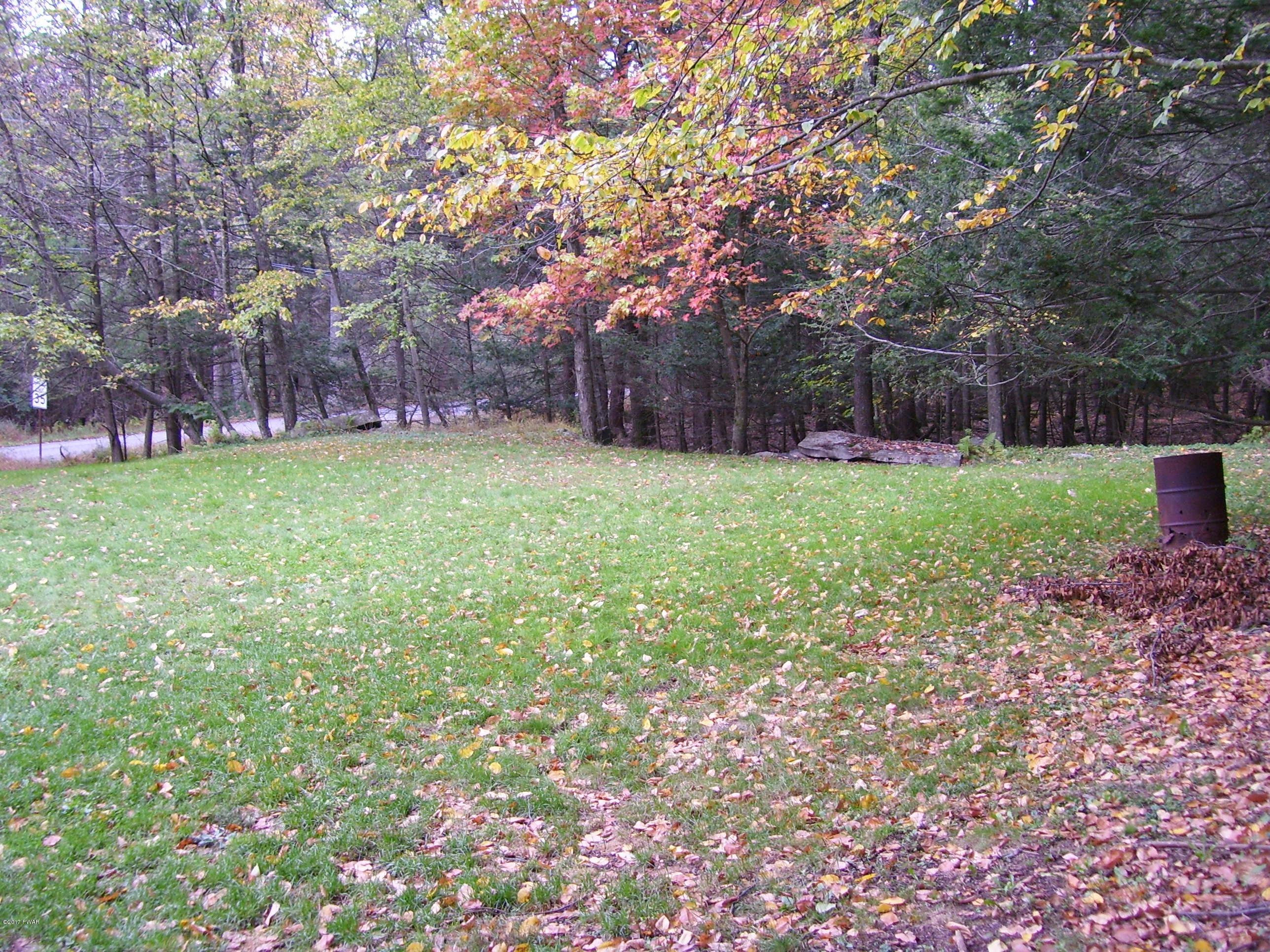 249 Gumbletown Road Tafton, PA 18464 - Photo 52 of 53 Side Yard