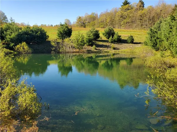 $600,000 | 205 Sullivan Road, Mount Vision, NY 13810