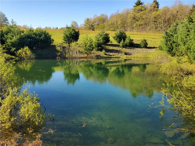 $650,000 | 205 Sullivan Road, Mount Vision, NY 13810