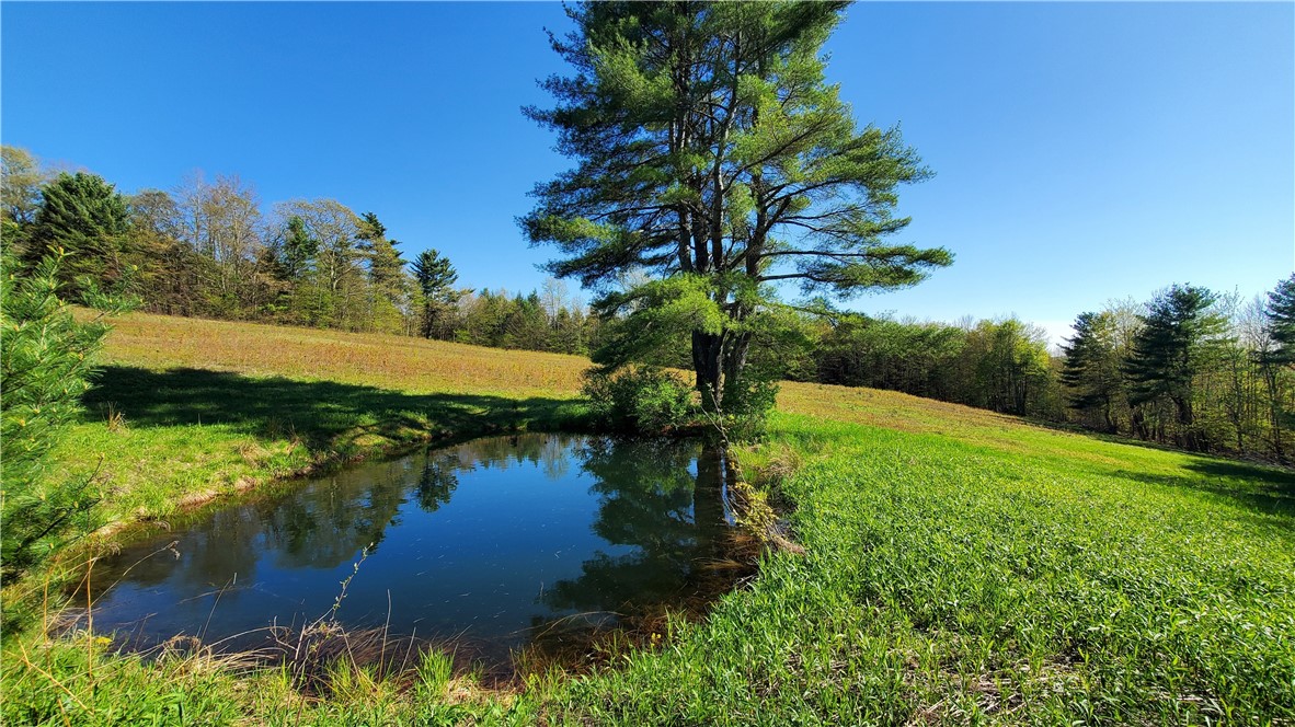 205 Sullivan Road Mount Vision, NY 13810 - Photo 38 of 50