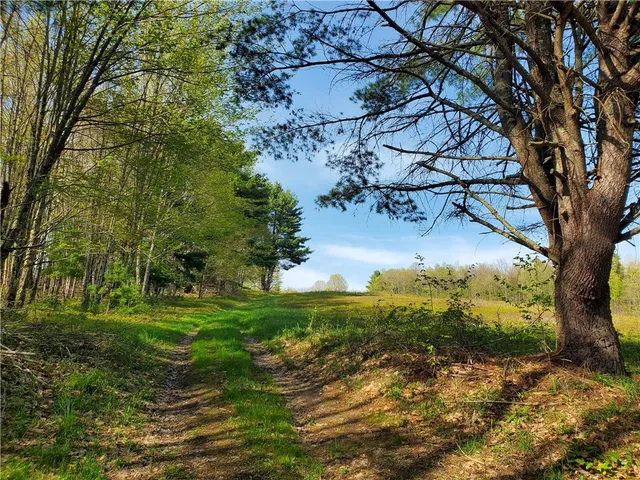 $650,000 | 205 Sullivan Road, Mount Vision, NY 13810