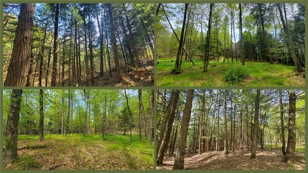 $600,000 | 205 Sullivan Road, Mount Vision, NY 13810