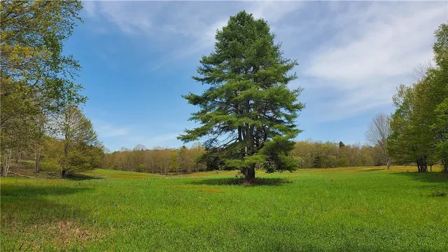 $650,000 | 205 Sullivan Road, Mount Vision, NY 13810