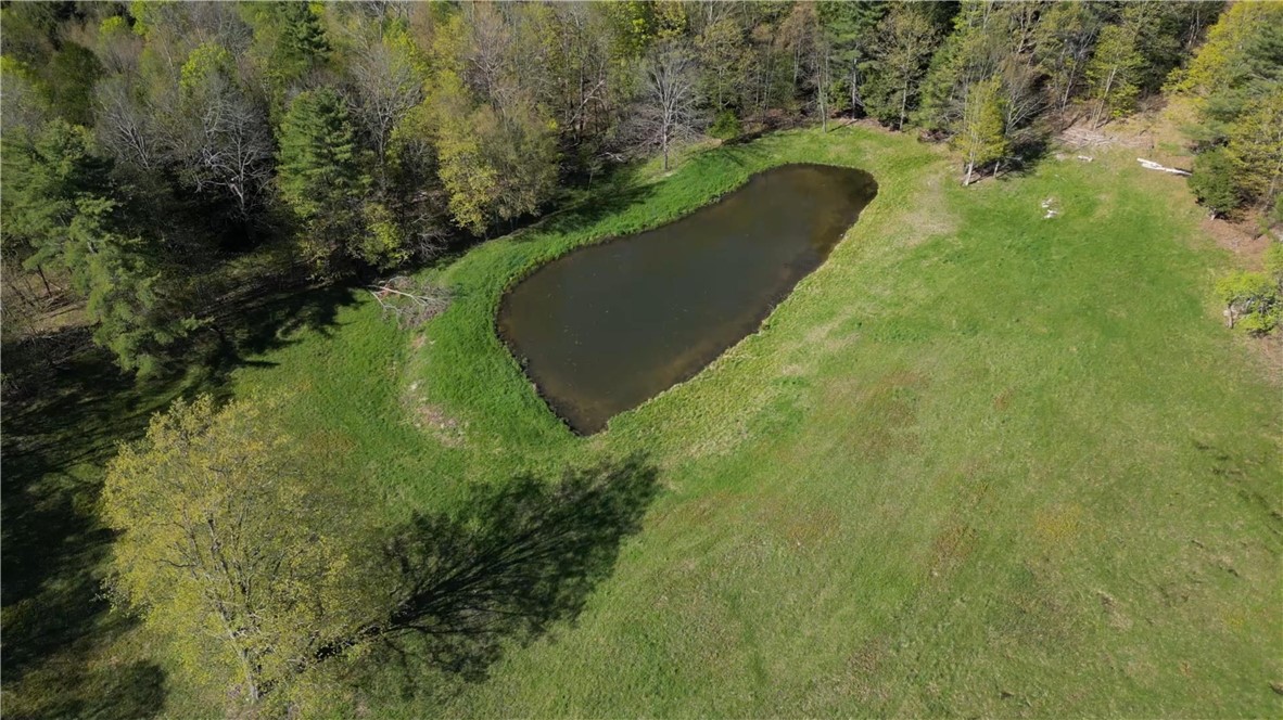 205 Sullivan Road Mount Vision, NY 13810 - Photo 45 of 50