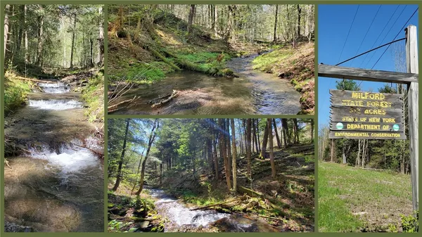 $600,000 | 205 Sullivan Road, Mount Vision, NY 13810