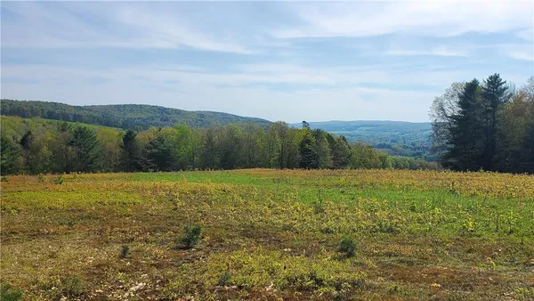 $600,000 | 205 Sullivan Road, Mount Vision, NY 13810