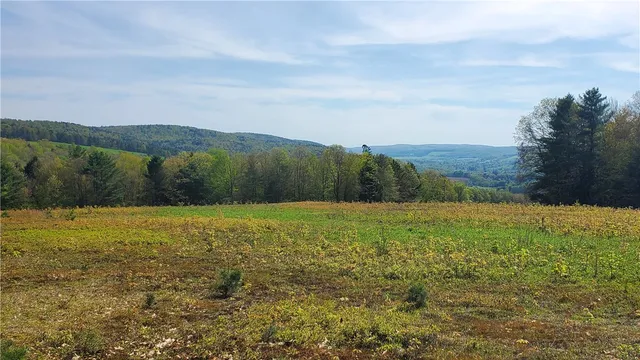 $650,000 | 205 Sullivan Road, Mount Vision, NY 13810