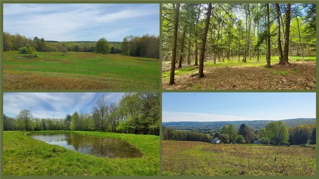 $650,000 | 205 Sullivan Road, Mount Vision, NY 13810