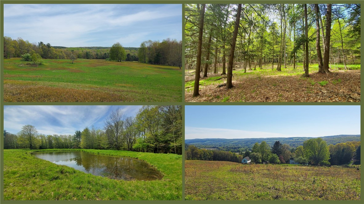 205 Sullivan Road Mount Vision, NY 13810 - Photo 49 of 50