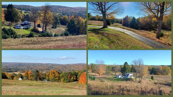 $600,000 | 205 Sullivan Road, Mount Vision, NY 13810