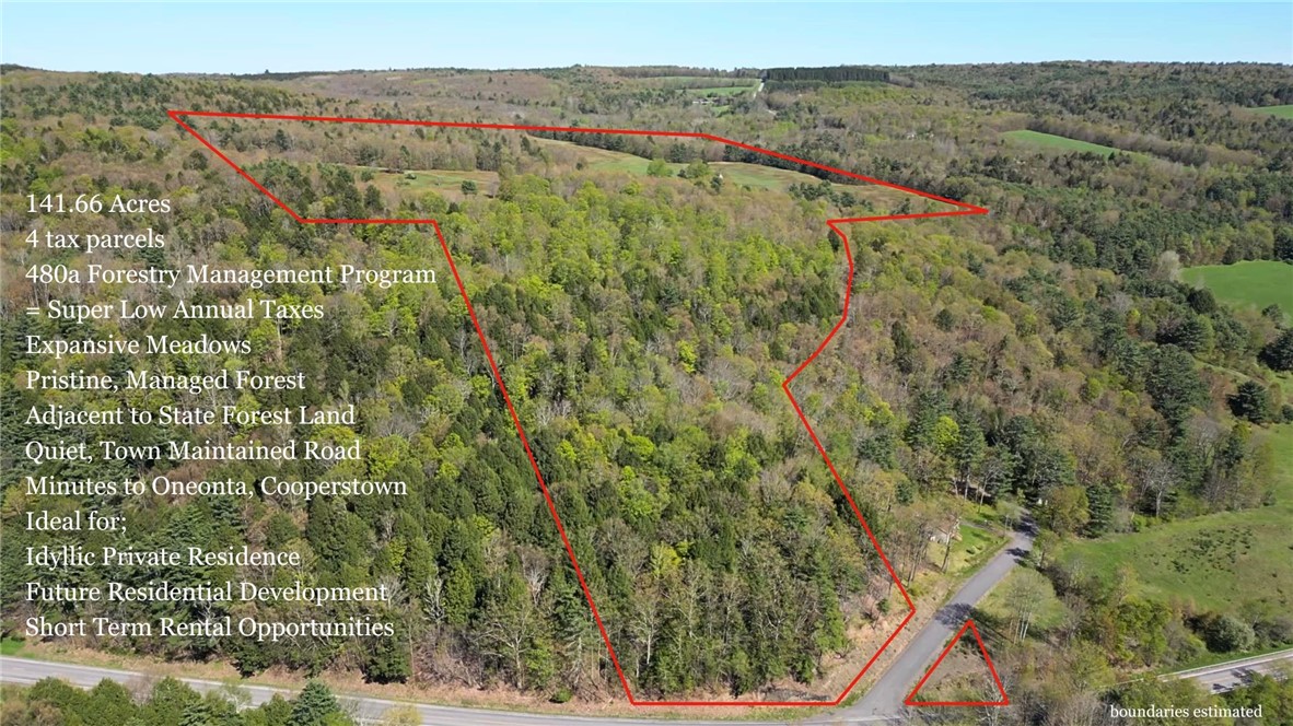 205 Sullivan Road Mount Vision, NY 13810 - Photo 6 of 50