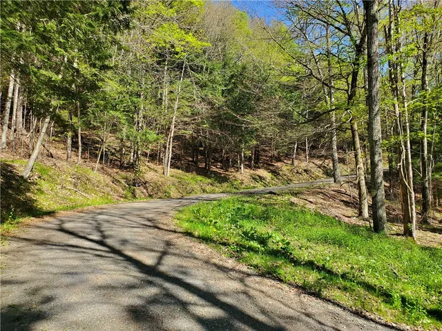 $650,000 | 205 Sullivan Road, Mount Vision, NY 13810