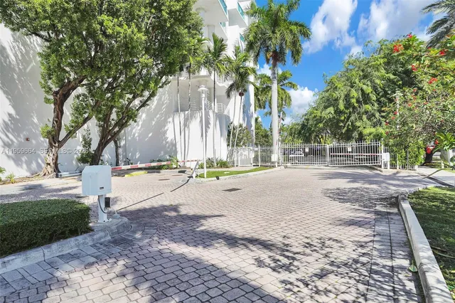 a view of a yard with plants