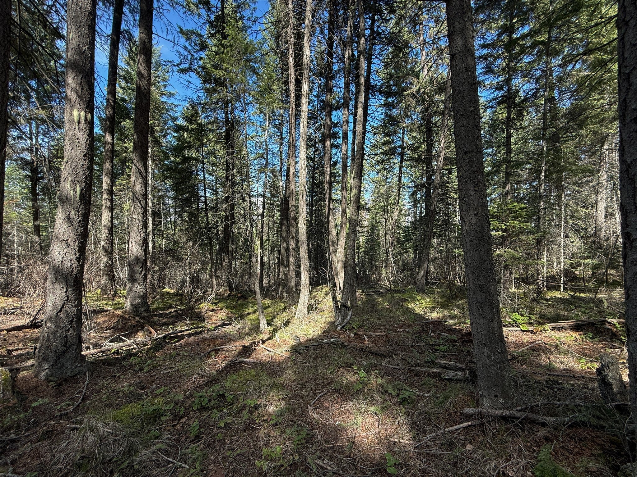 N/a Wapiti Point Road Thompson Falls, MT 59873 - Photo 11 of 17 Gallery Image 11