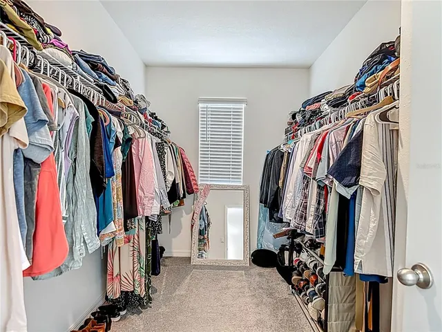 a view of a brick wall with a tree in the background