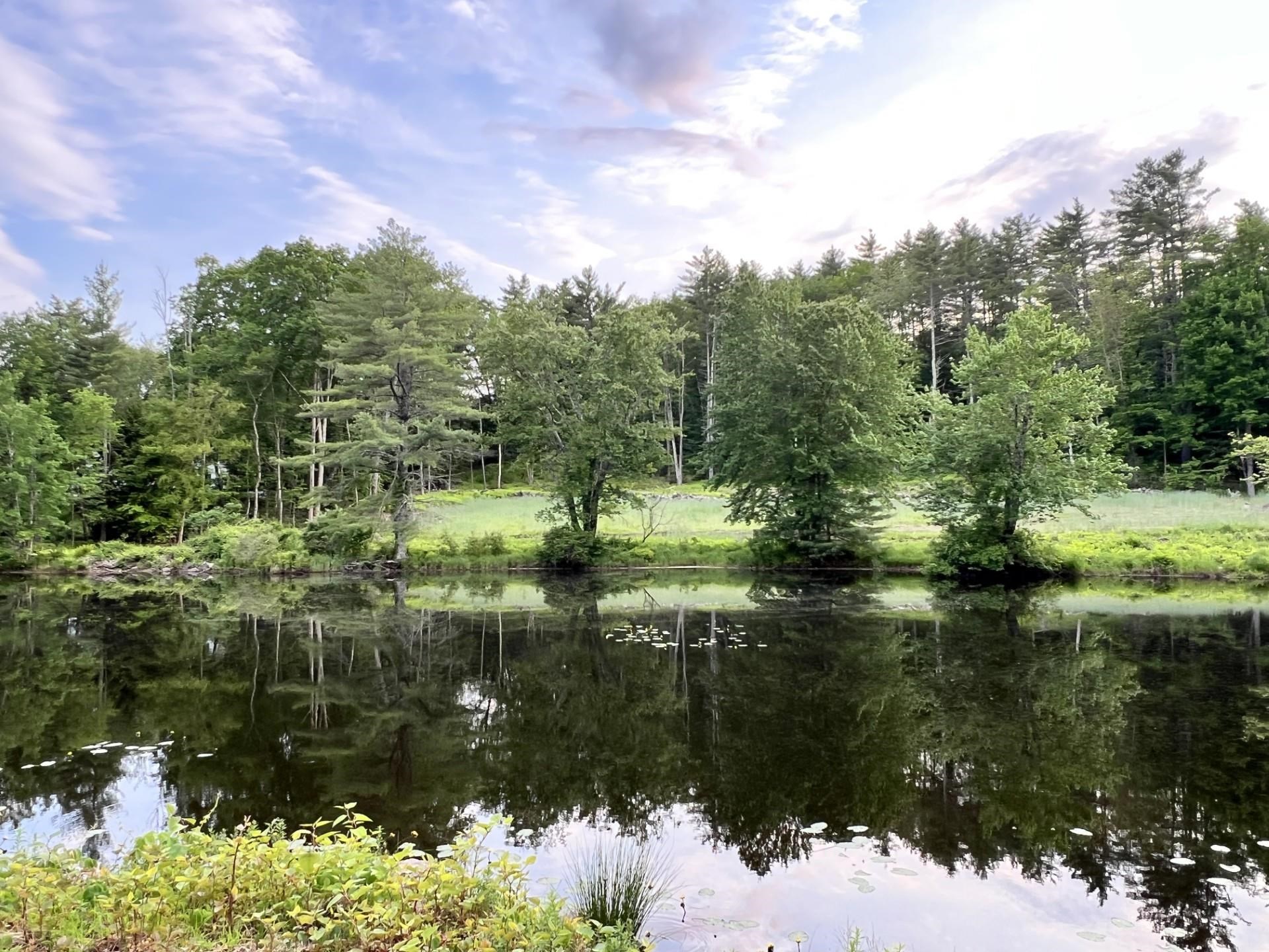 Lot 4 Jenkins Road, Unit LOT 4 MODERN FARMHOUSE Bedford, NH 03110 - Photo 25 of 27