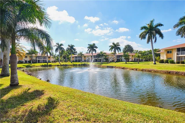 a view of an ocean with palm trees