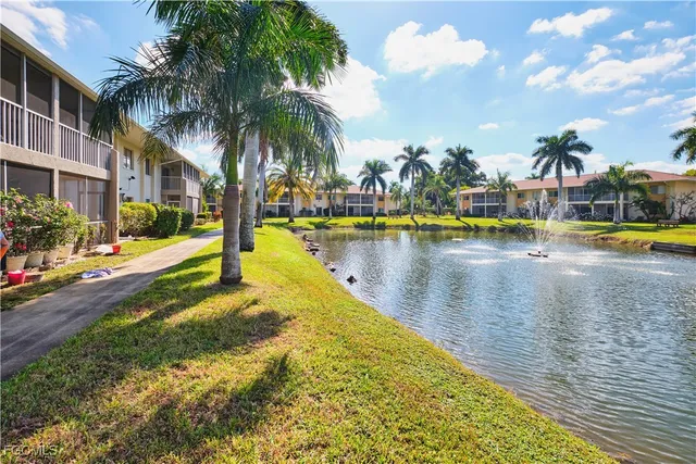 a view of a swimming pool with a lawn chairs under palm trees