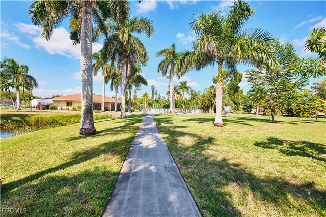 a view of a yard with palm trees