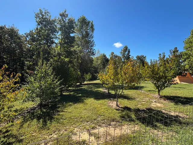 $699,900 | 3128 Browns Trace Road, South Pittsburg, TN 37380